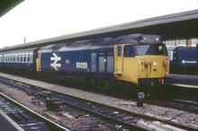 017204 50029 BR diesel electric loco, Class 50 50029 “Renoun”. Reading  10 September 1983