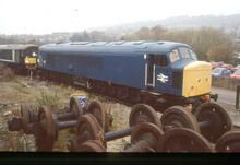 017373 45135 BR diesel electric loco, Class 45/1 45135.  Matlock 8 November 1993