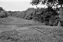 Coleorton Railway. Swannington Common. View from the level crossing of Thringstone Road, near St. George’s Terrace. 16 June 1935 (2)
