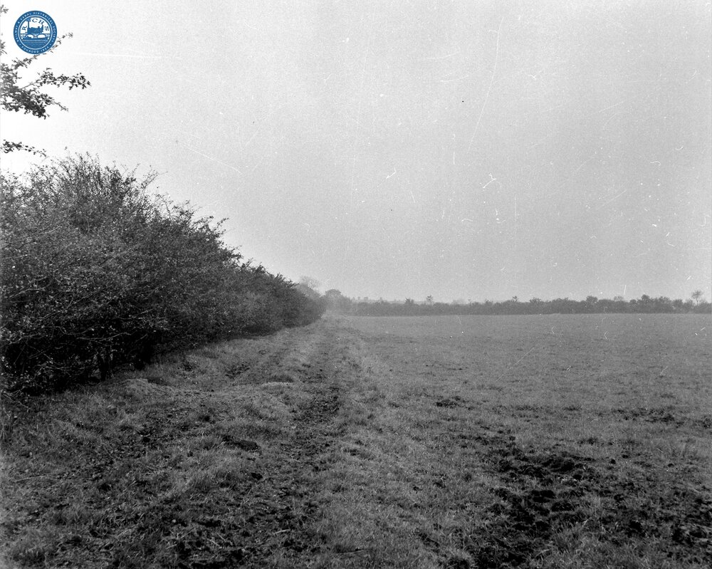 Tibshelf (1). Ling Moor. View looking South from footpath. October 1965