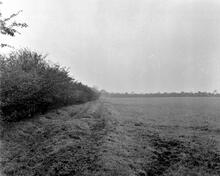 Tibshelf (1). Ling Moor. View looking South from footpath. October 1965