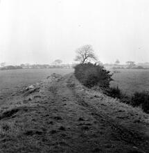 Tibshelf (2). Bridge House Farm. Looking North from farm. October 1965