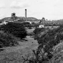 Smithy Houses Tramroad. Salterwood Branch (3).  Near Brookvale Cottage. View looking North towards Salterwood Colliery.  15 September 1946