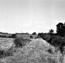 Smithy Houses Tramroad. Salterwood Branch (2)  Near Brookvale Cottage. View looking South towards Smithy Houses, Denby. 15 September 1946