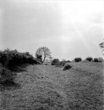 Salterwood North. Looking South towards Lower Salterwood from near Salterwood North Pit near Mareshay Hall. 30 Apr 1949