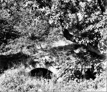 Smithy Houses Tramroad, Salterwood Branch (1). Culvert carrying the tramroad across a small brook at Denby. 15 September 1946