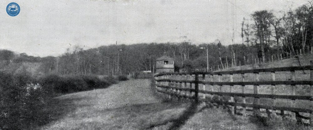 Mansfield & Pinxton Railway. Grives Wood.  (13)