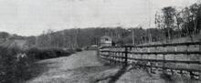 Mansfield & Pinxton Railway. Grives Wood.  (13)