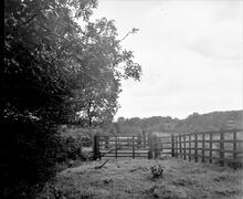 Mansfield & Pinxton Railway. Grives Wood. 10 September 1949 (12)