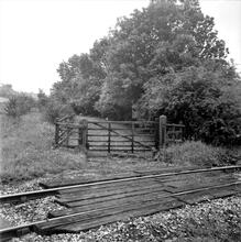 Mansfield & Pinxton Railway. Grives Wood. August 1962 (11)