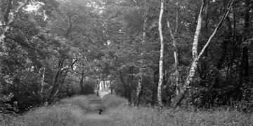 Mansfield and Pinxton Railway