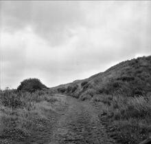 Mansfield & Pinxton Railway. Portland Wood. August 1962  (16)