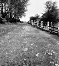 Riddings Tramroad (1). Nottingham Lane. View looking north from level crossing at Nottingham Lane, showing stone sleeper blocks in situ. 13 April 1947