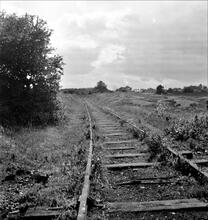 Newmanleys Mill (2). View from LMS railway bridge, looking South West towards Shipley Collieries showing standard gauge track (now removed) on probable site of old wooden way