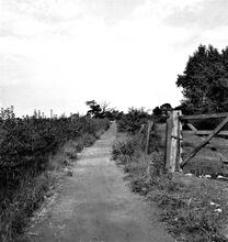 Newthorpe Common (1). Cotmanhay: View from near sewage works looking Northeast towards Nottingham Canal and Newthorpe Common