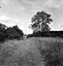 Trowell Moor Tramway (2). View East of Railway Level Crossing. July 1962