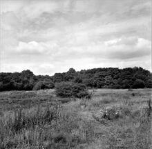 Trowell Moor Tramway (1). Canal Wharf. July 1962