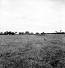 Trowel Moor Tramway (3). Looking towards Shaws Wood. August 1962