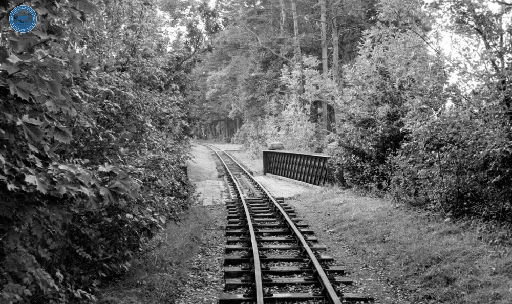 Penrhyn Quarry Railway, track on lower section of line