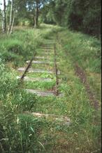 Track of old peat tramway. Danes Moss, Macclesfield, August 2003  (Ref 017427E)