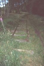 Track of old peat tramway. Danes Moss, Macclesfield, August 2003   (Ref 017428E)