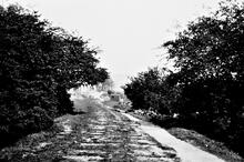 Peak Forest Tramway. Bugsworth. Limekilns Branch. 23 May 1929 (23)