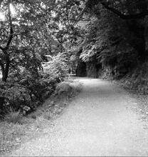 Beaufort Tramroad. Blackrock. The rock cutting below Blackrock Quarries.  21-26 June 1946 (3)