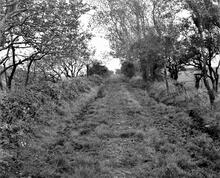 Coygan Quarry Tramway. View east from the crossing at Causeway Farm. Map ref. SN 28767 09152. October 1963 (2)