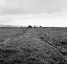 Coygan Quarry Tramway. View to the east of a slight embankment taken from Map ref. SN 294 092. October 1963 (4)