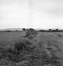 Coygan Quarry Tramway. A view east from location SN 298 092. October 1963 (6)