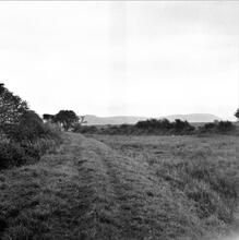 Coygan Quarry Tramway. View east of the embankment from location SN 298 093. October 1963 (7)