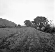 Coygan Quarry Tramway. View east at location SN 300 093. October 1963 (8)