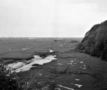 Coygan Quarry Tramway. General view of the line west from the cliff path at Map ref. SN 309 099. October 1963 (9)