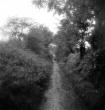 Kidwelly & Llanelly Canal and Tramroad Co.  Line of the former trackbed approaching Achddu from Burry Port.  Location SN 449 013 looking north. October 1963 (3)