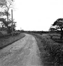 Kidwelly & Llanelly Canal & Tramroad. Burry Port – Carway, the view west from Level Crossing below Bryn Forest Inn.  SN.448070. October 1963 (3)