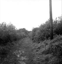 Trimsaran Tramroad ( Kidwelly & Llanelly Canal Co.) Trimsaran.  View west of Sardis Chapel at SN 441056 October 1963  (3)