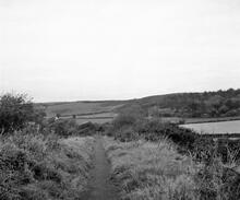 Pembrey Harbour Tramroad. View from an overbridge near Ashburnham Road, at SN 434010. October 1963.   (6)