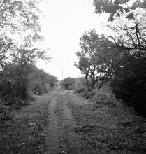 Pembrey Harbour Tramroad.  Pembrey. View of trackbed at SN 433011.  October 1963.    (5)