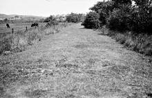 Carmarthenshire Railway (or Tramroad). Pen-y-Groes. View looking north near Pen Cae Melyn. October 1963 (7)