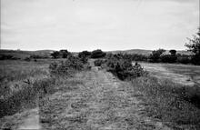 Carmarthenshire Railway (or Tramroad). Looking south towards Cross Hands from the level crossing at Gors-Goch.  October 1963 (6)