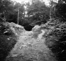Forest of Dean Railway (6). Lower Soudley.  A view of the Soudley deviation looking north towards Camp Mill. 30 July 1938 