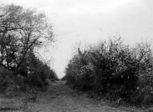 Grosmont Railway. Pandy. Cutting looking south and north end of Pandy embankment.  18-19 April 1944
