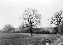 Grosmont Railway, Pandy Station. View North opposite Hotel near Pandy Station. 19-20 April 1944