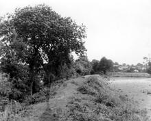 Hereford Railway. Embankment approaching the terminus at Hereford. 1957.