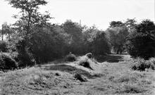  Llanfihangel Railway. Llanfoist. View near railway looking towards Abergavenny. May 1946.