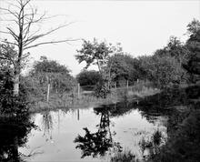 Llanfihangel Railway. Termination of Railway near side of canal. Site diverges from line of canal towards Llanfoist looking east. 1976