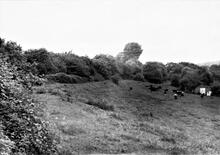 Llanfihangel Railway. Abergavenny, Springwells. Line of railway passing Junction Cottages. June 1973