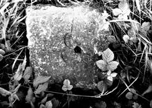 Llanfihangel Railway. Abergavenny Junction. Stone block built into wall. June 1973