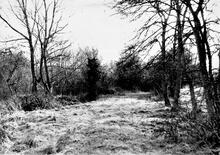 Llanfihangel Railway. Triley Mill. March 1961