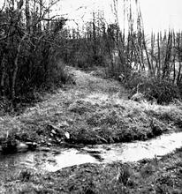 Llanfihangel Railway. Triley Mill. Point at which the railway crossed the mill leat. March 1961